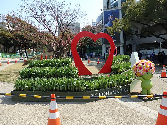 横浜公園山下公園20170320 (6)