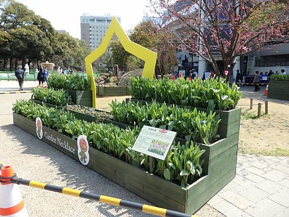 横浜公園山下公園20170320 (7)