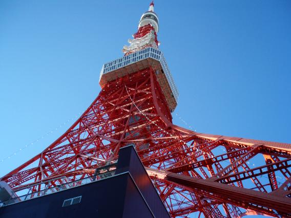 見上げる東京タワー