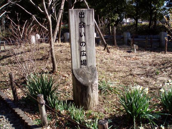 東高根森林公園2015012-1