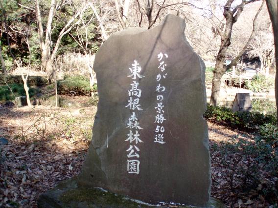 東高根森林公園2015014-1