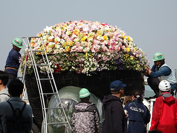 横浜公園山下公園20170320 (39)