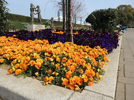 横浜公園山下公園20170320 (34)