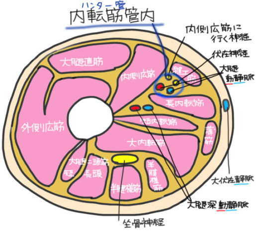 ハンター管